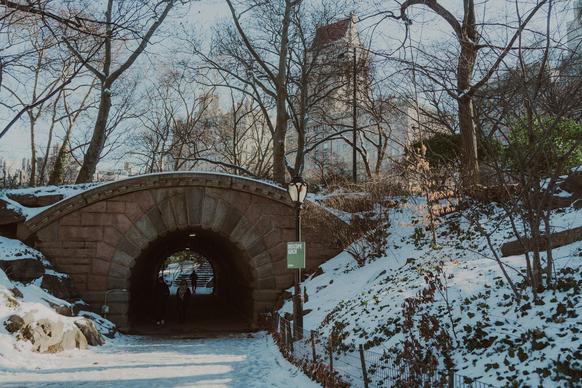 winter scene in central park with bridge and snow
