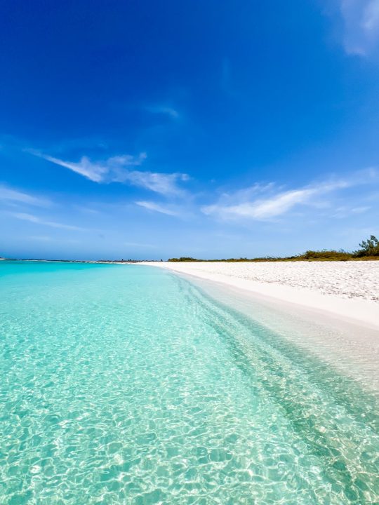 stunning caribbean beach in venezuela