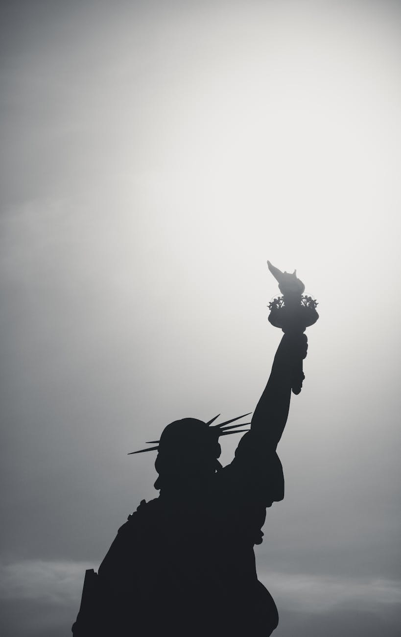 silhouette of the statue of liberty at daytime