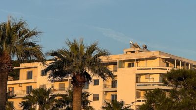 modern apartments with palm trees in vlore