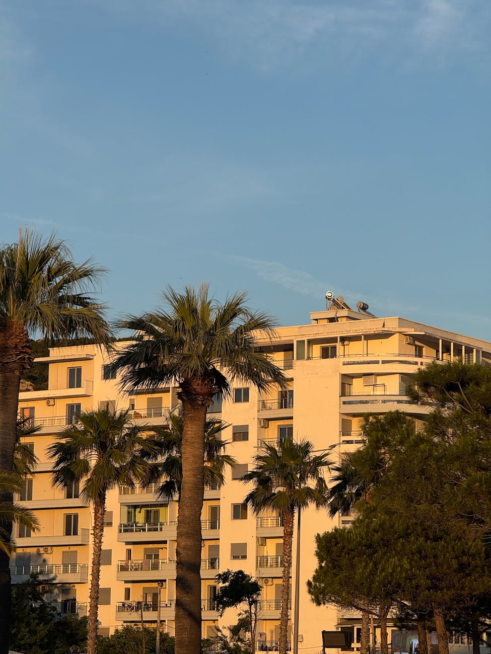 modern apartments with palm trees in vlore
