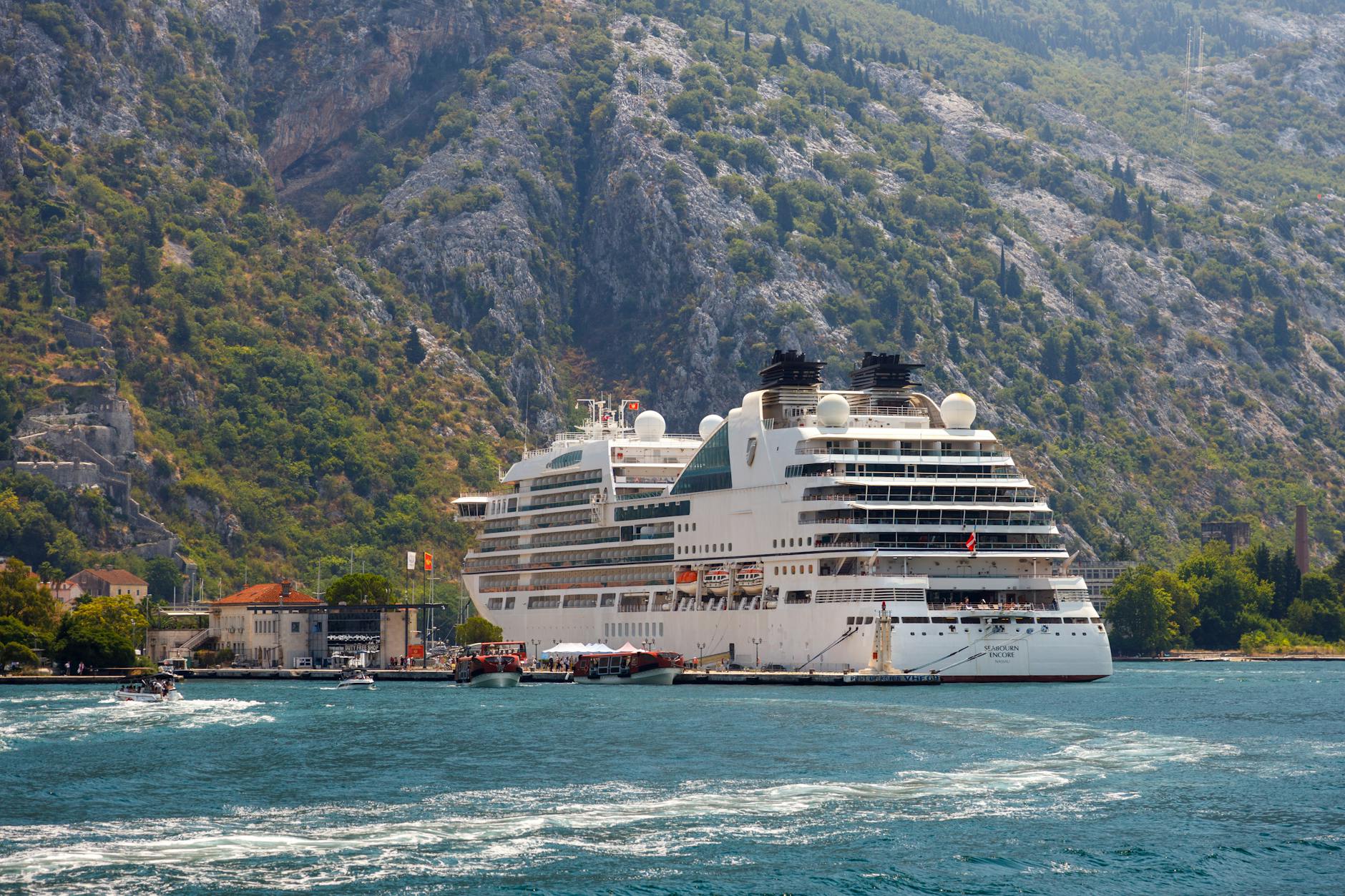 luxury cruise ship in picturesque fjord