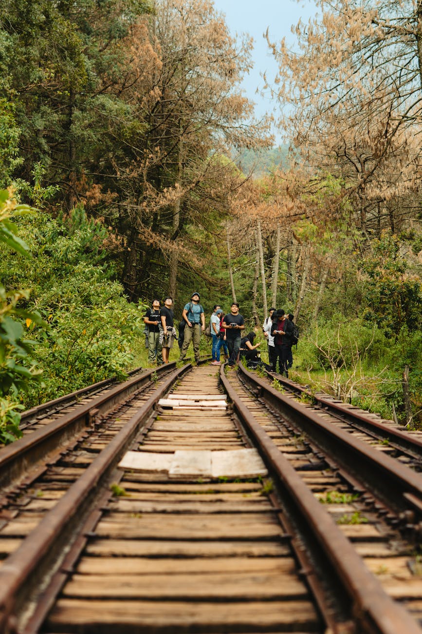 adventurers walking along forest railway tracks
