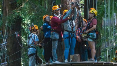 group ziplining adventure in redwood forest