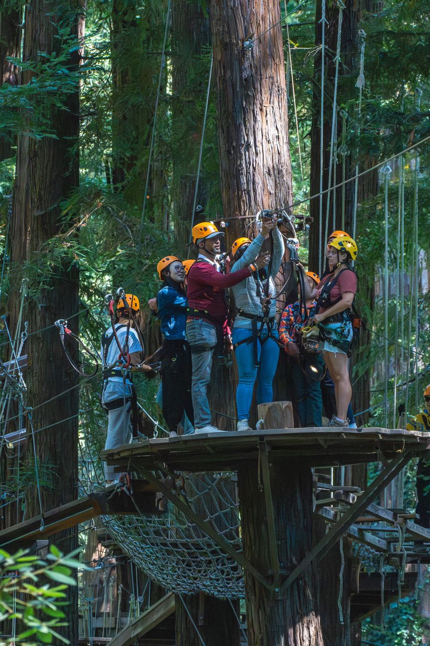 group ziplining adventure in redwood forest