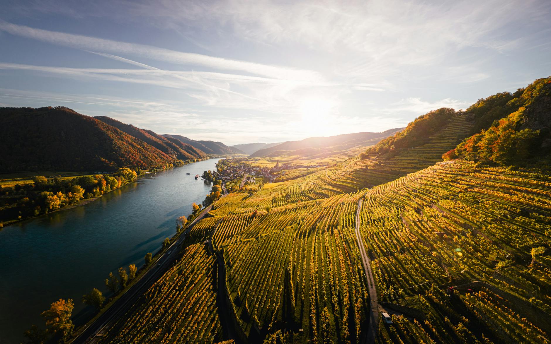 scenic aerial view of wachau vineyards in autumn