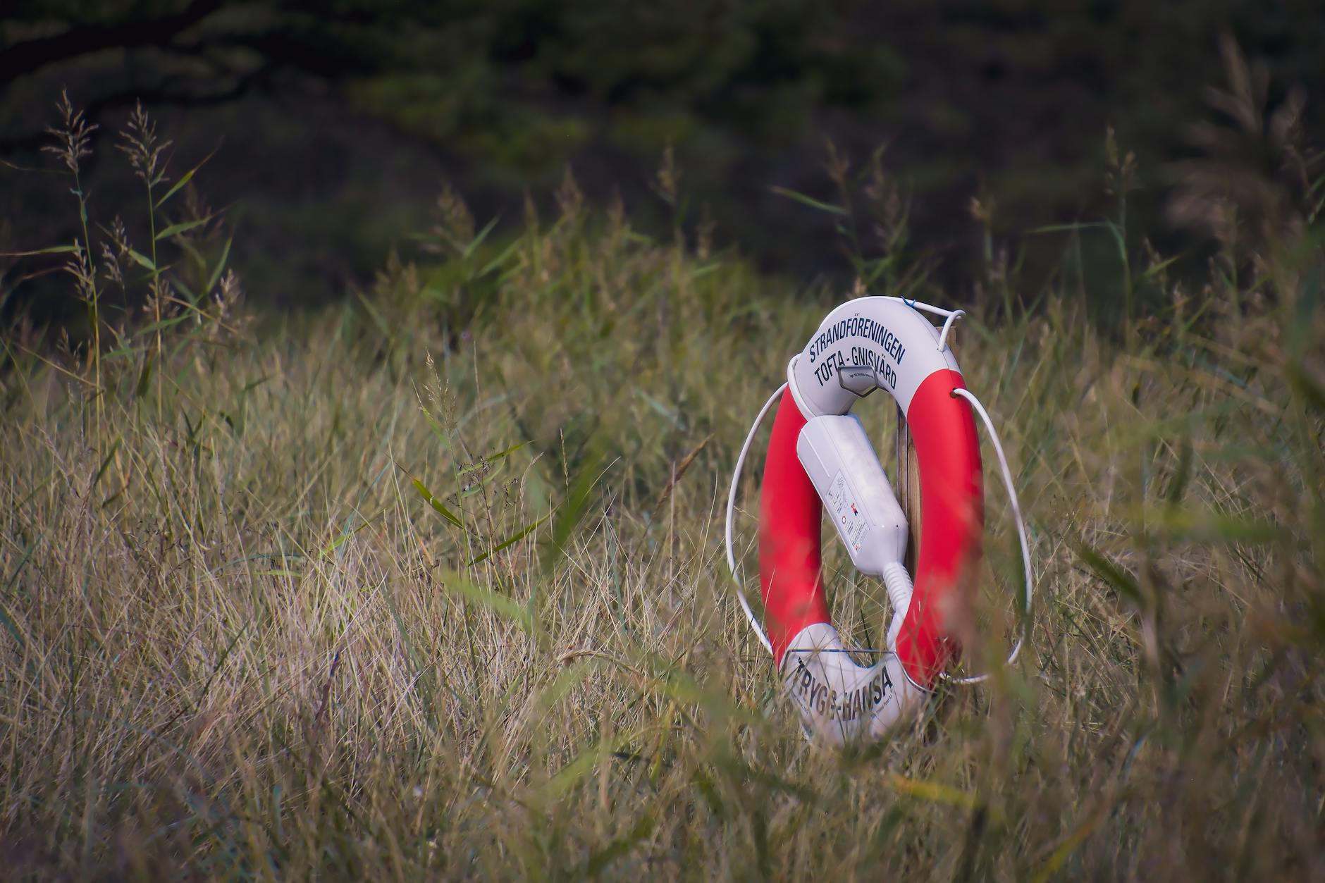 lifebuoy in grassy field for safety symbolism