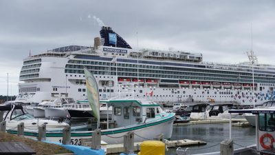 large cruise ship at a bustling harbor