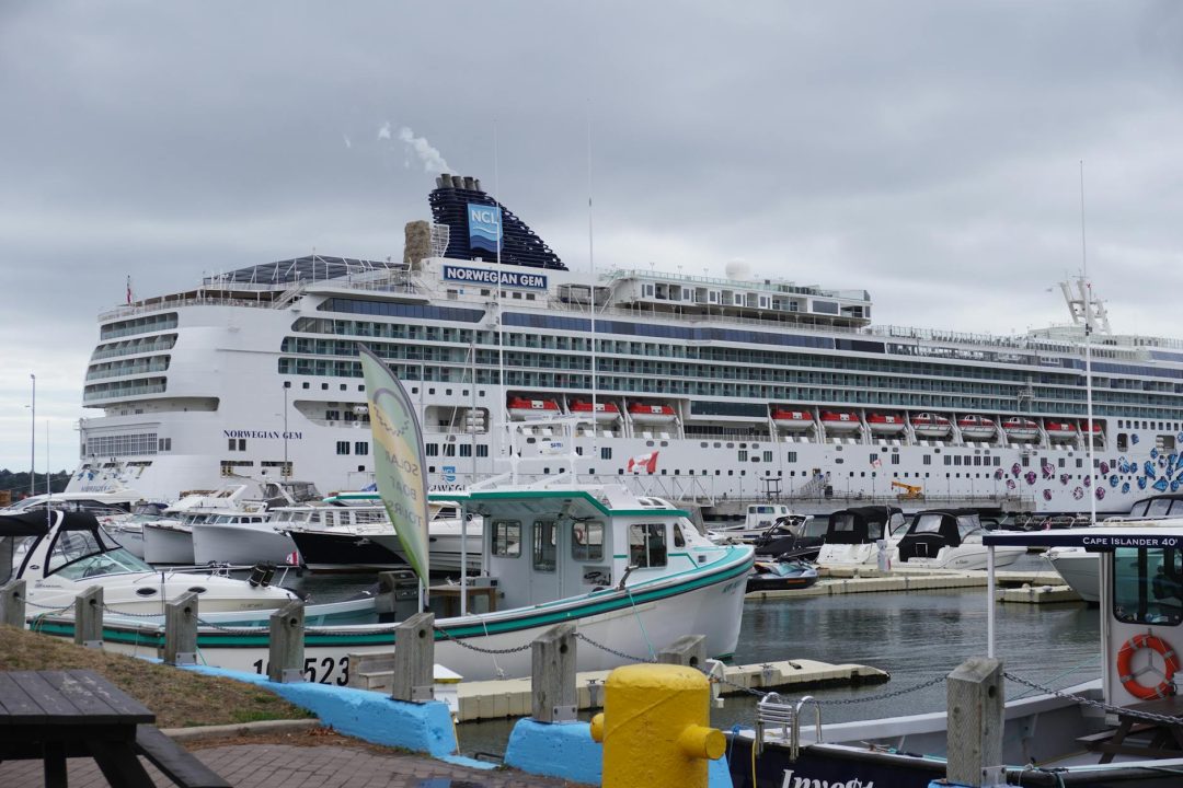 large cruise ship at a bustling harbor