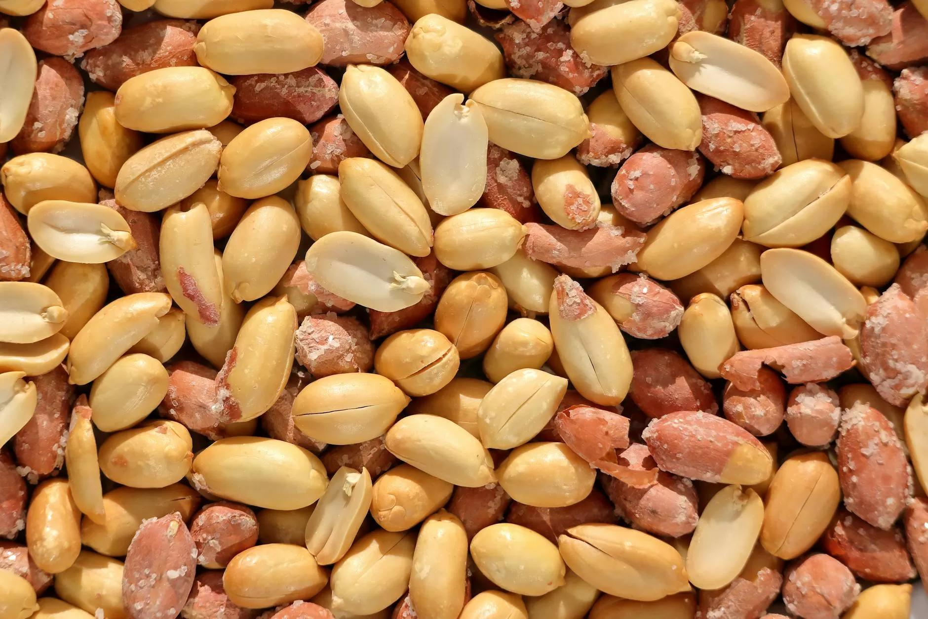 close up view of roasted peanuts