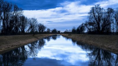 river between trees