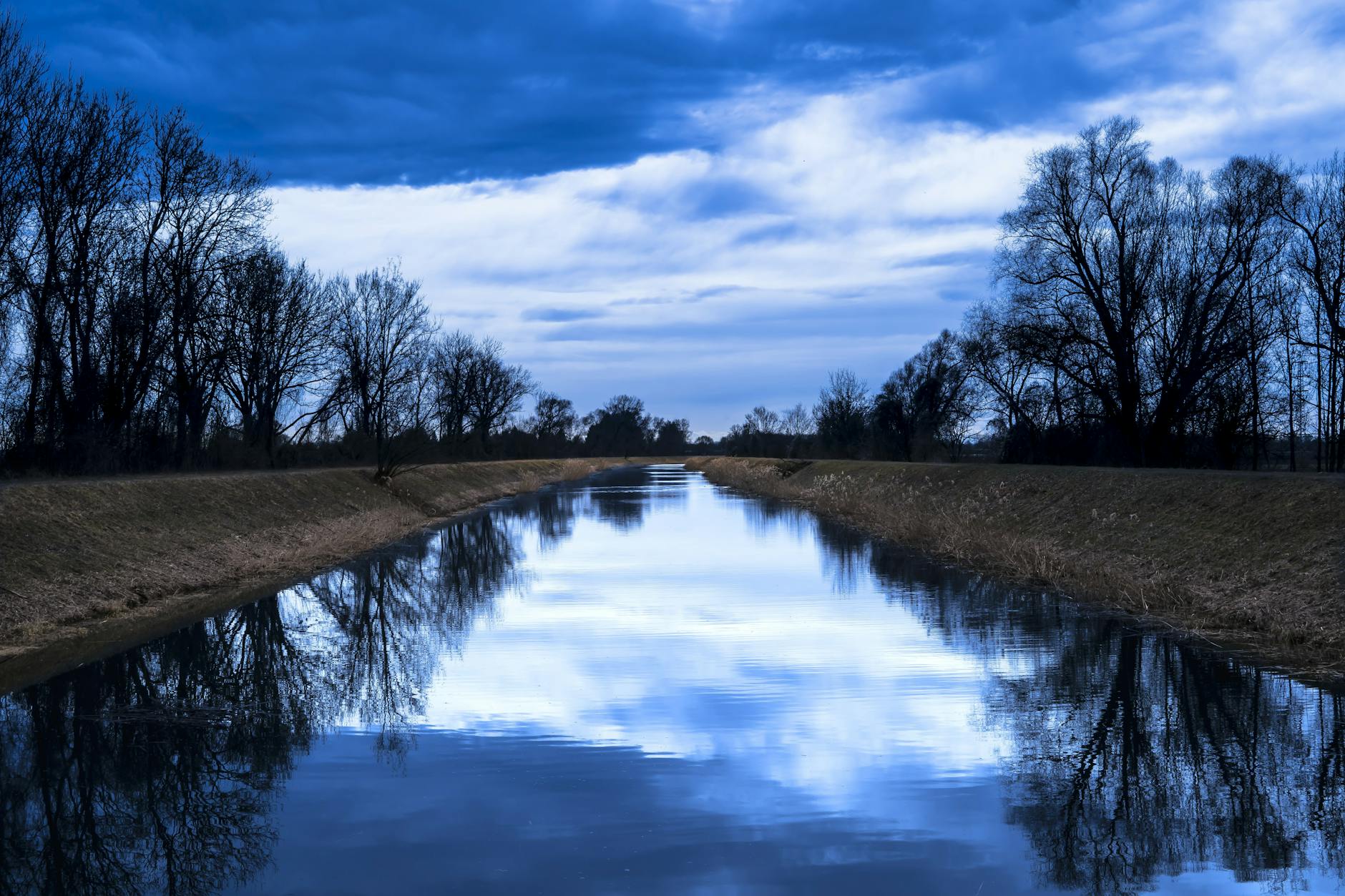 river between trees