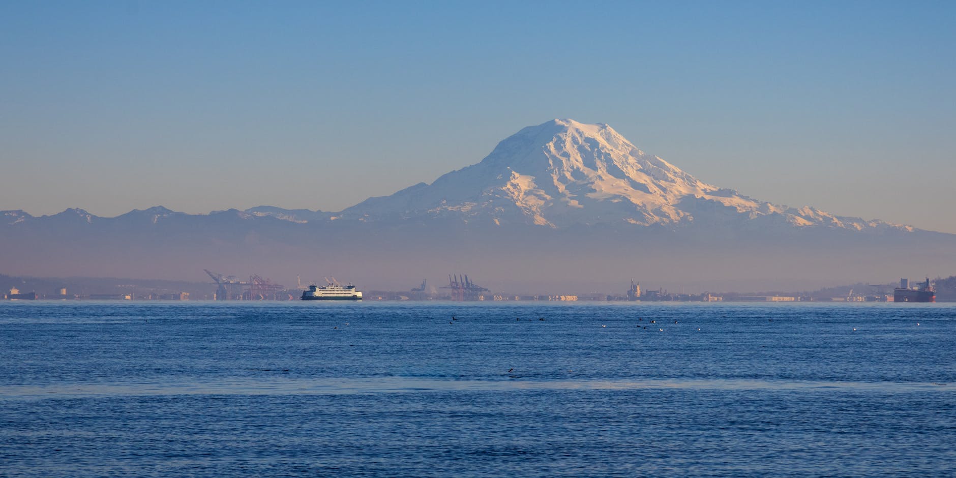 mount rainier over the tranquil seattle waterfront