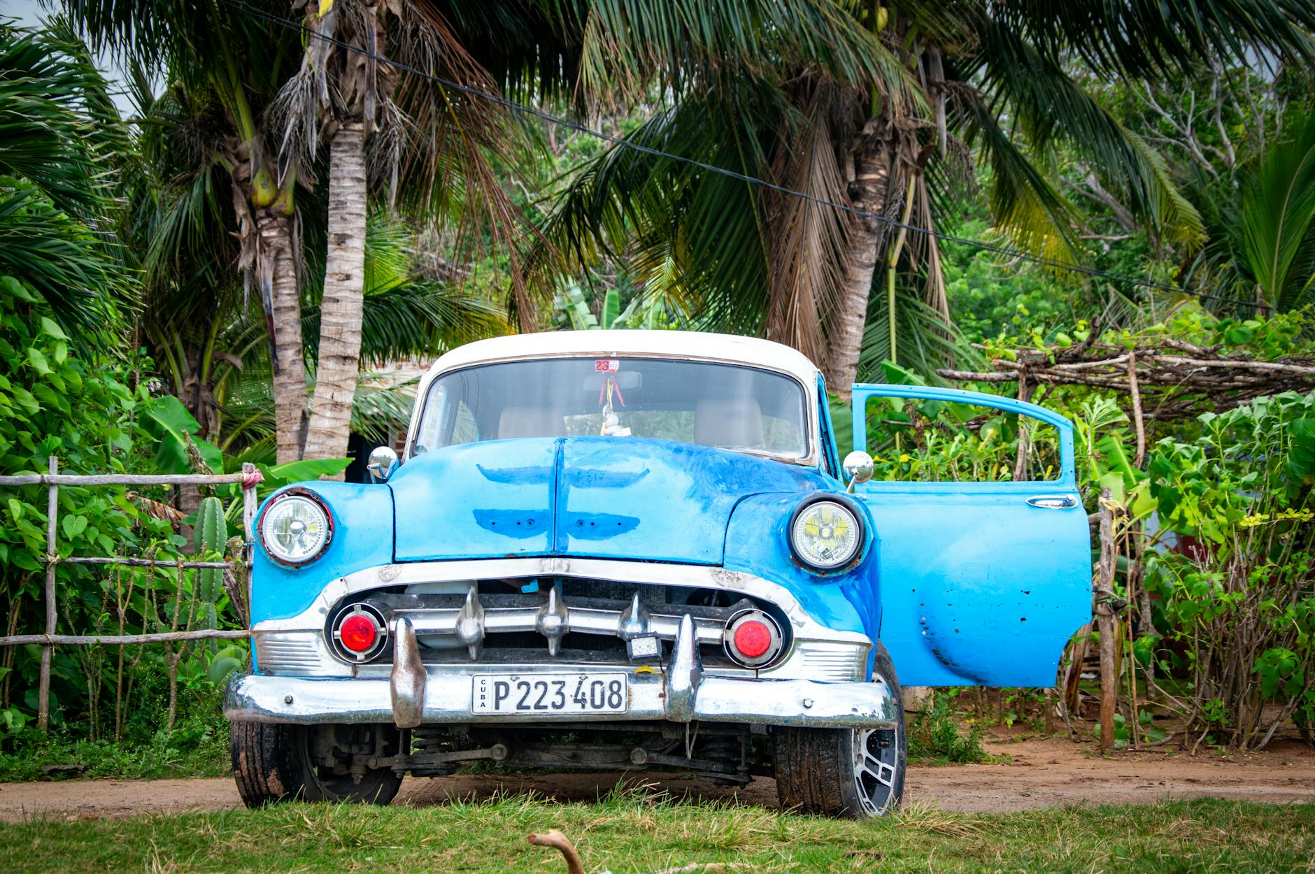 vintage blue classic car in tropical setting