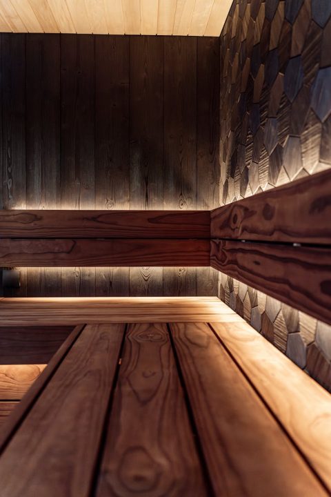 elegant modern sauna with nordic design elements