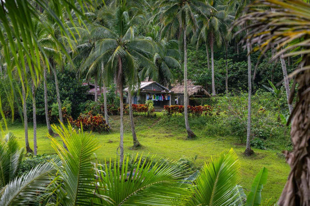idyllic village scene in bicol philippines