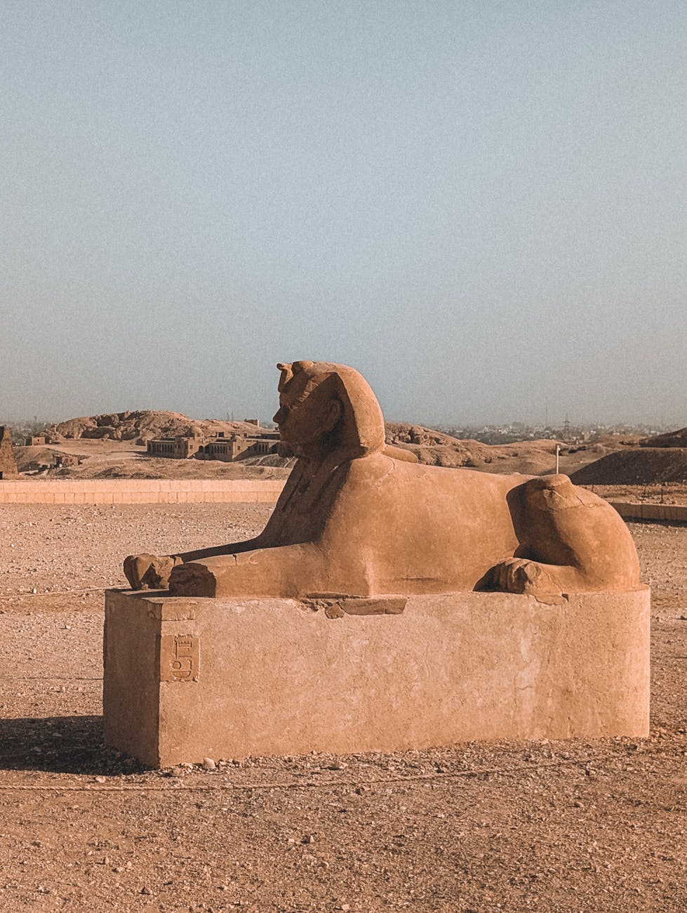 ancient sphinx in luxor egypt s sunlit desert
