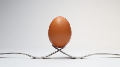 brown egg