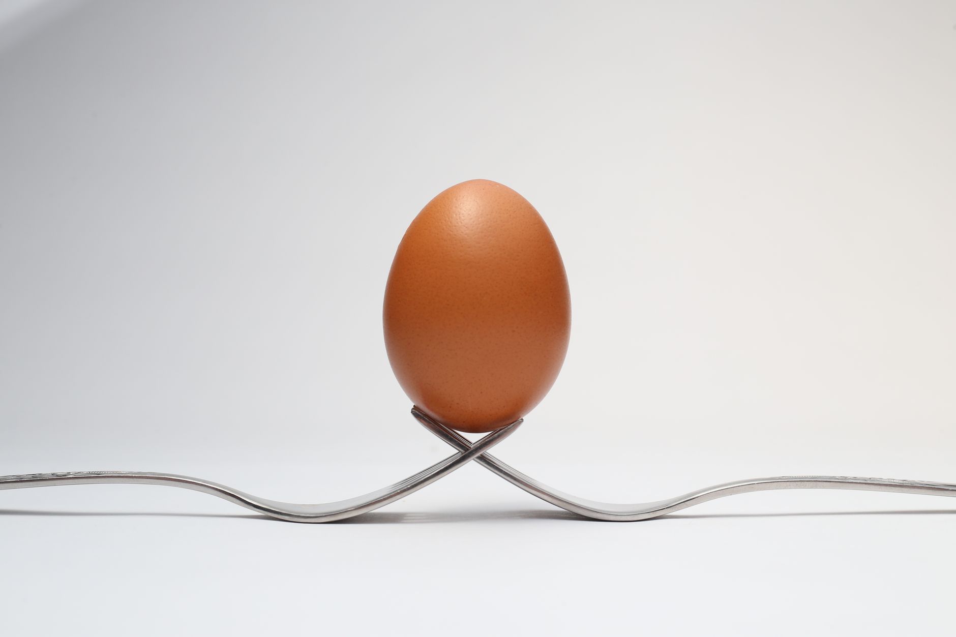 brown egg