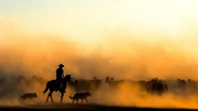 cowboy herding horses in dusty sunset