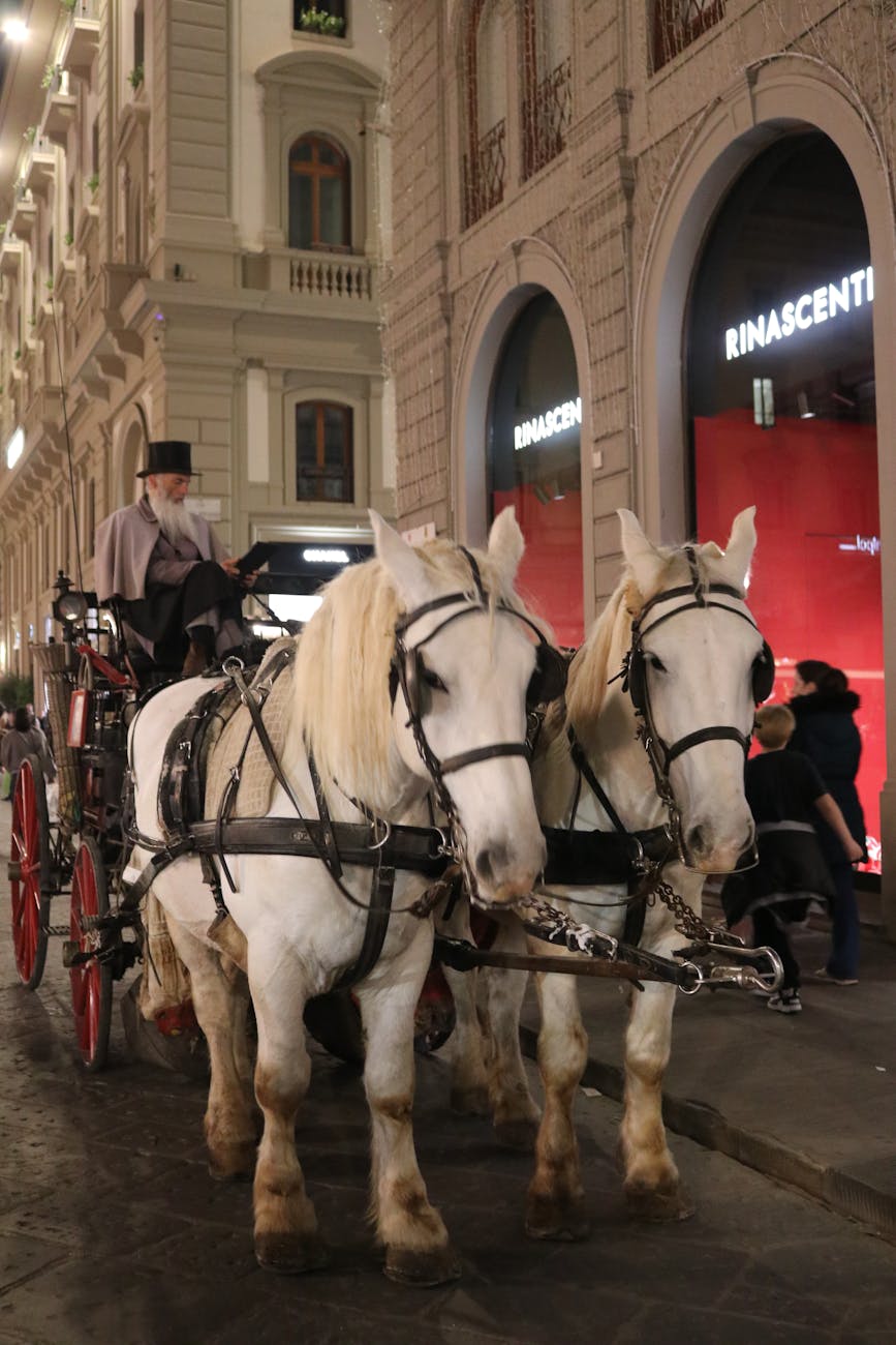 elegant horse drawn carriage in florence at night