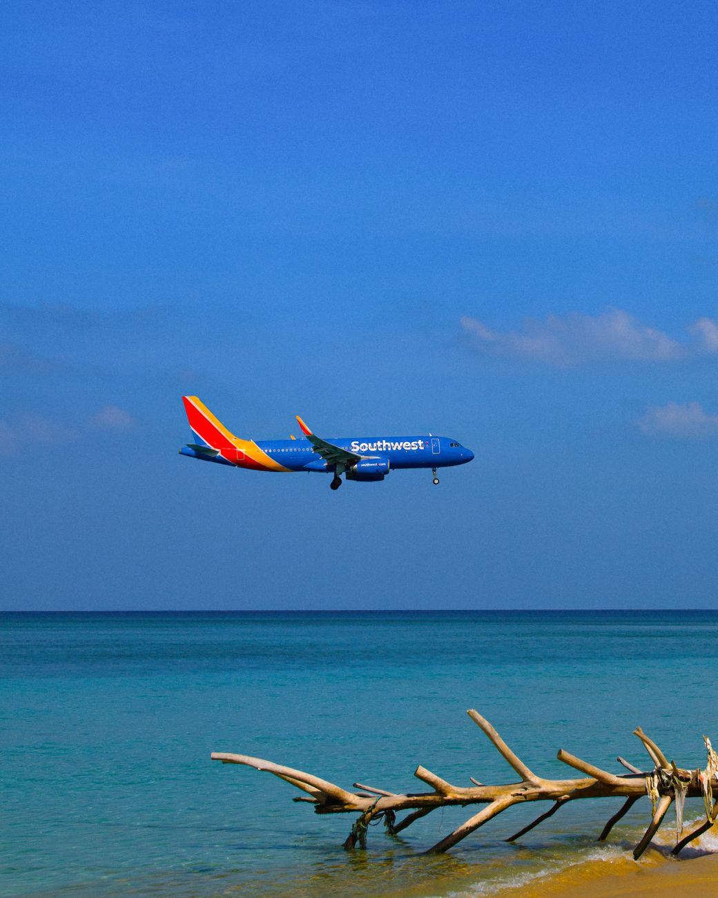 airliner soars over tropical beach in saint martin
