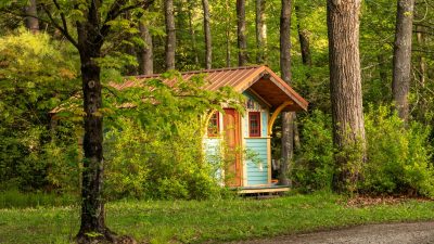 charming tiny cabin in a lush forest setting