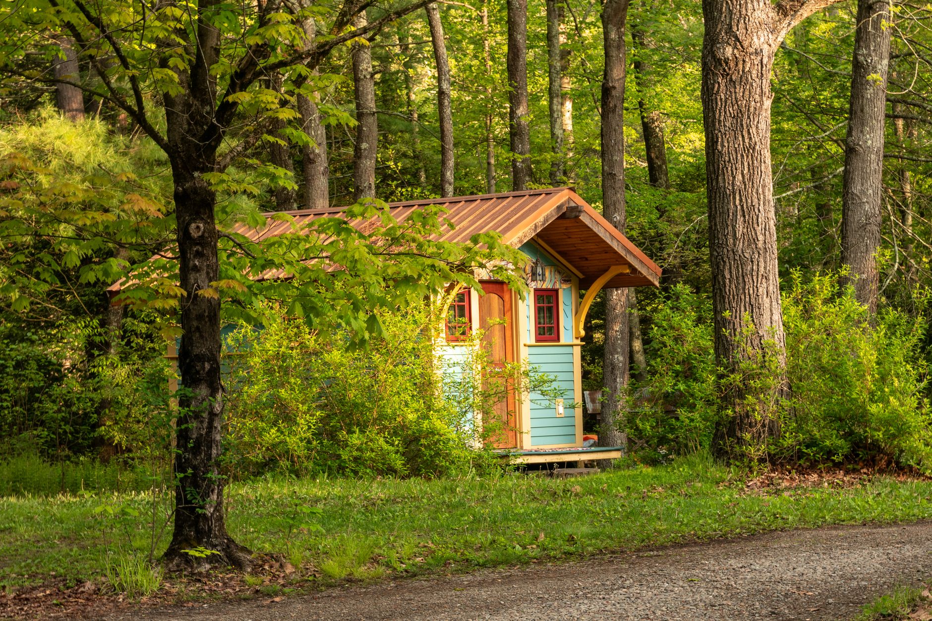 charming tiny cabin in a lush forest setting