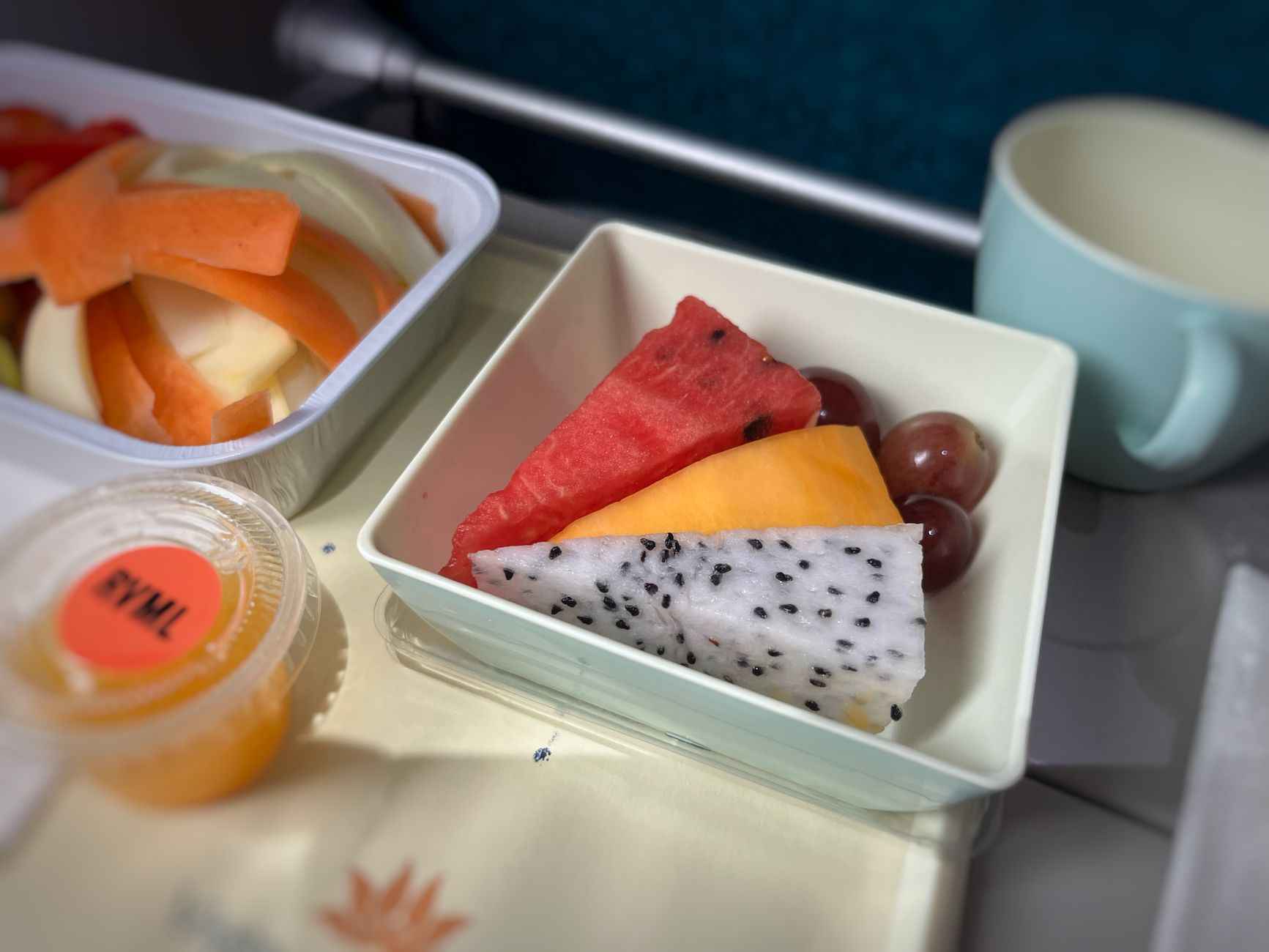 airplane fruit platter with exotic fruits