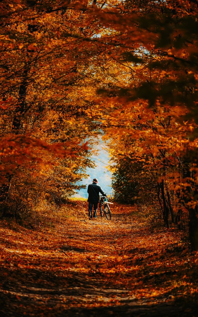 man walking bicycle through autumn forest