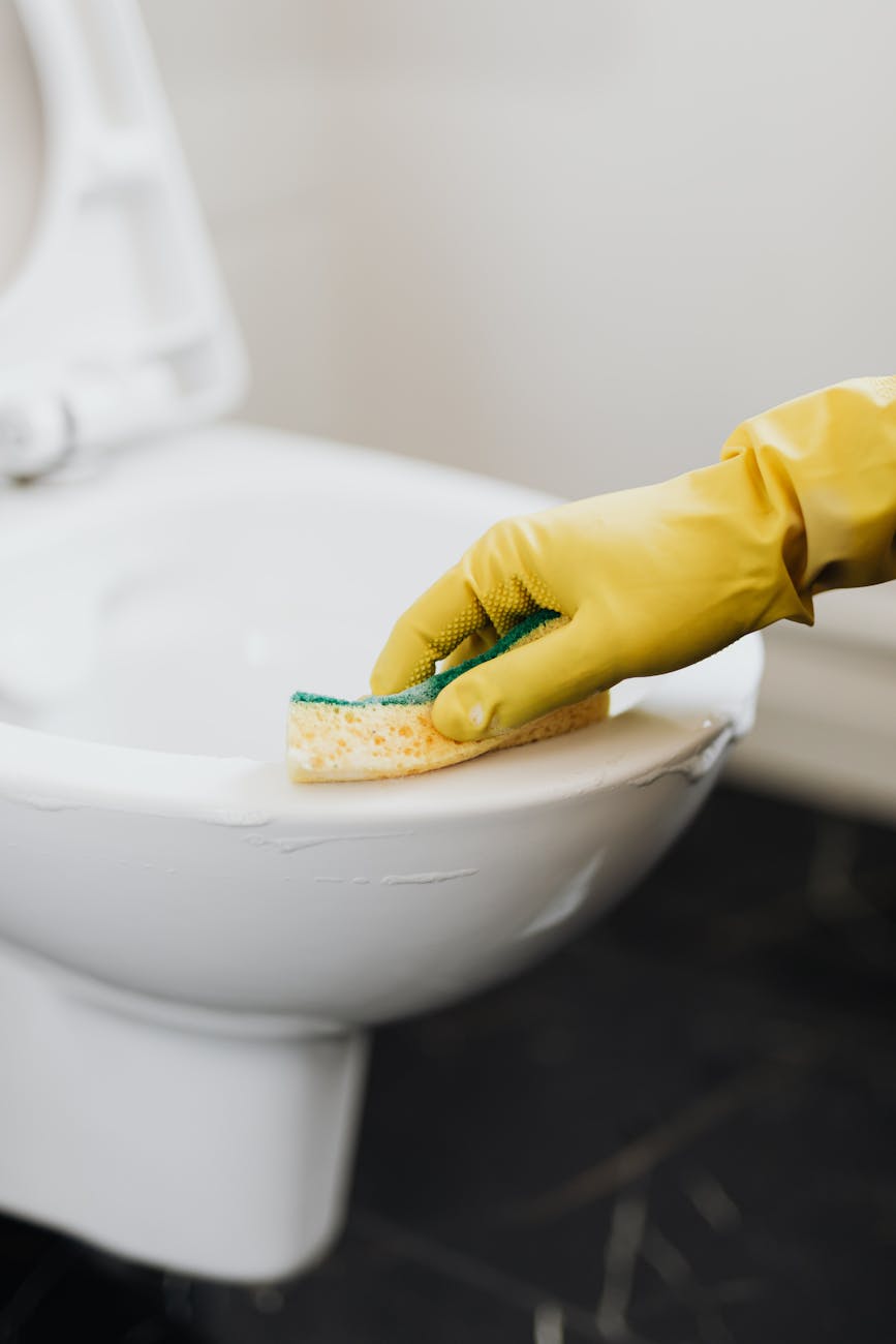 crop person in rubber glove cleaning toilet bowl