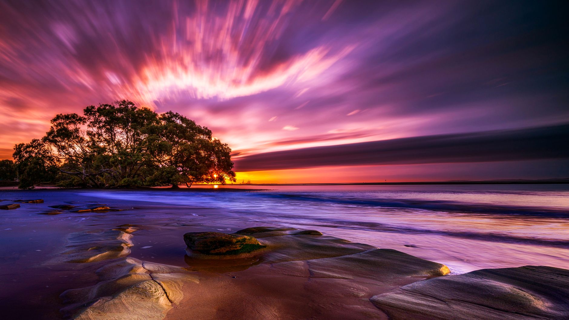 green trees on seashore during sunset