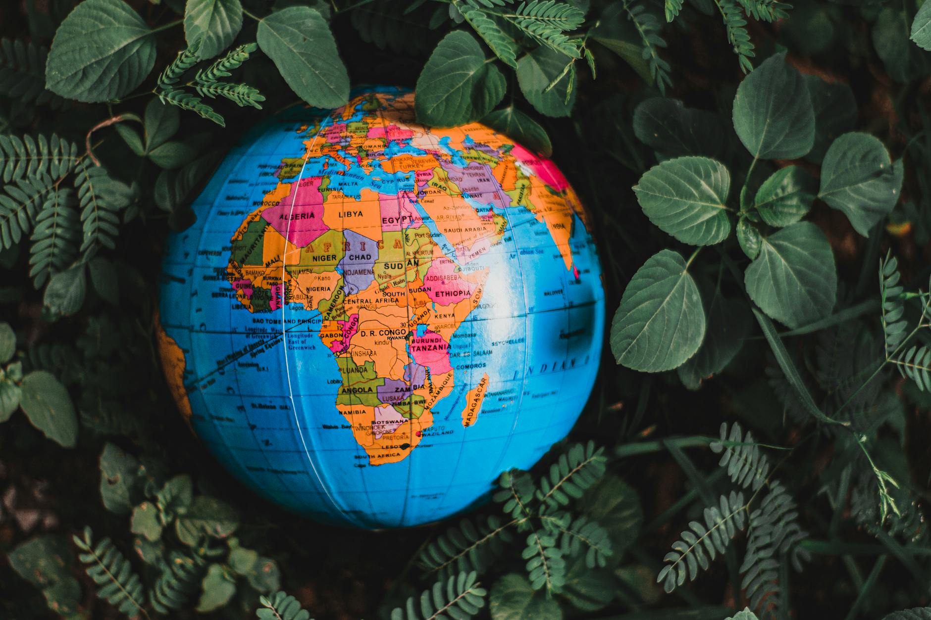 globe in green leaves