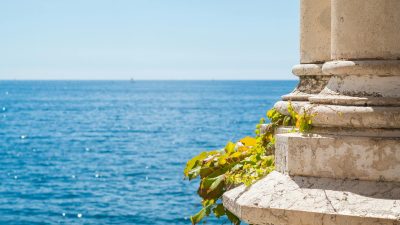 plant hanging off a column on the background of a blue sea