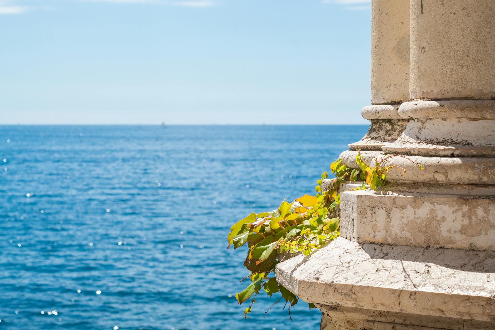 plant hanging off a column on the background of a blue sea