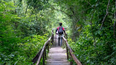 unrecognizable backpacker on wooden footbridge