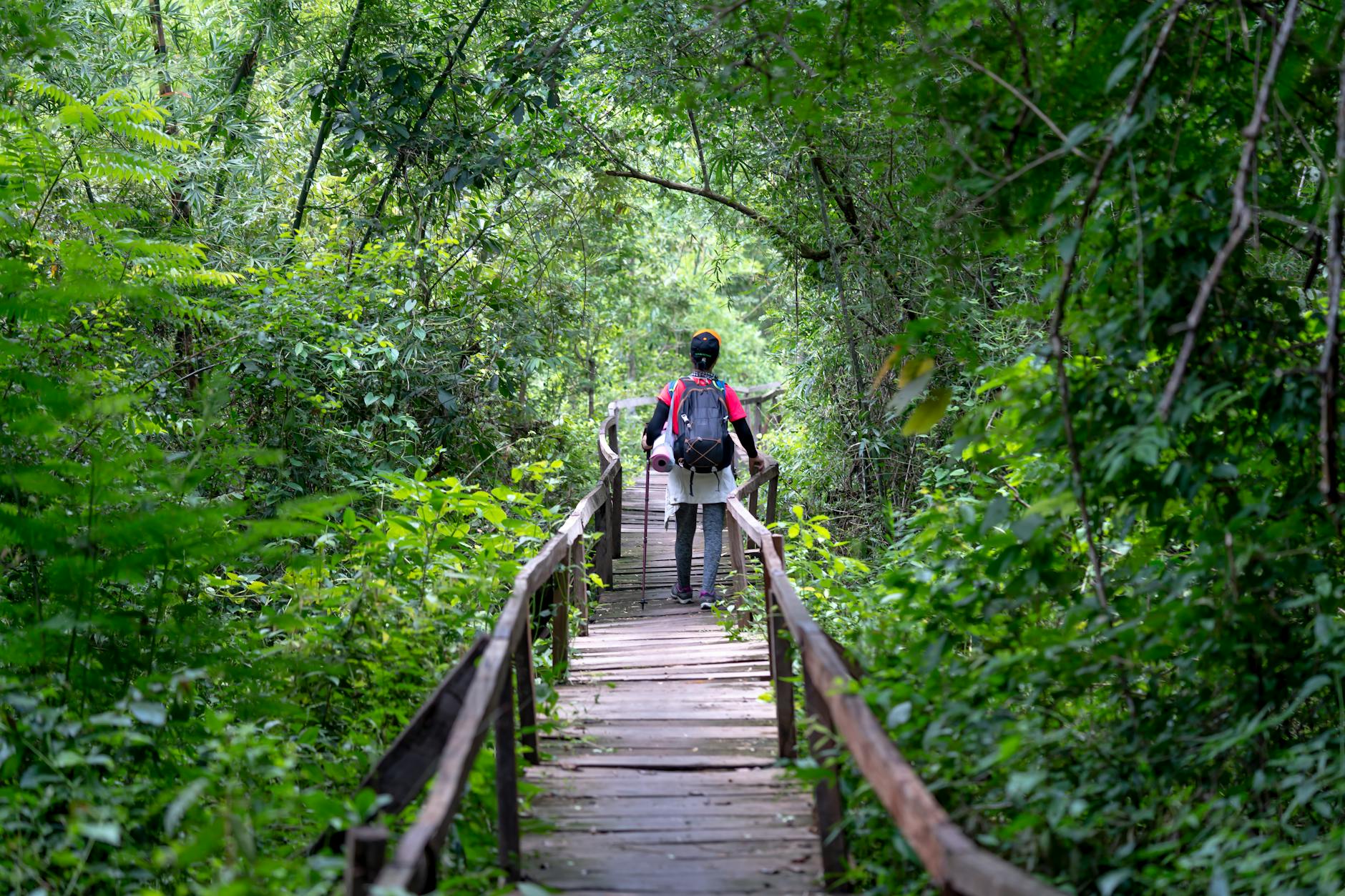 unrecognizable backpacker on wooden footbridge