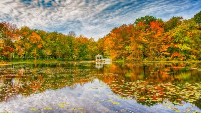 pond in autumn surrounded by colorful trees reflecting in the calm waters