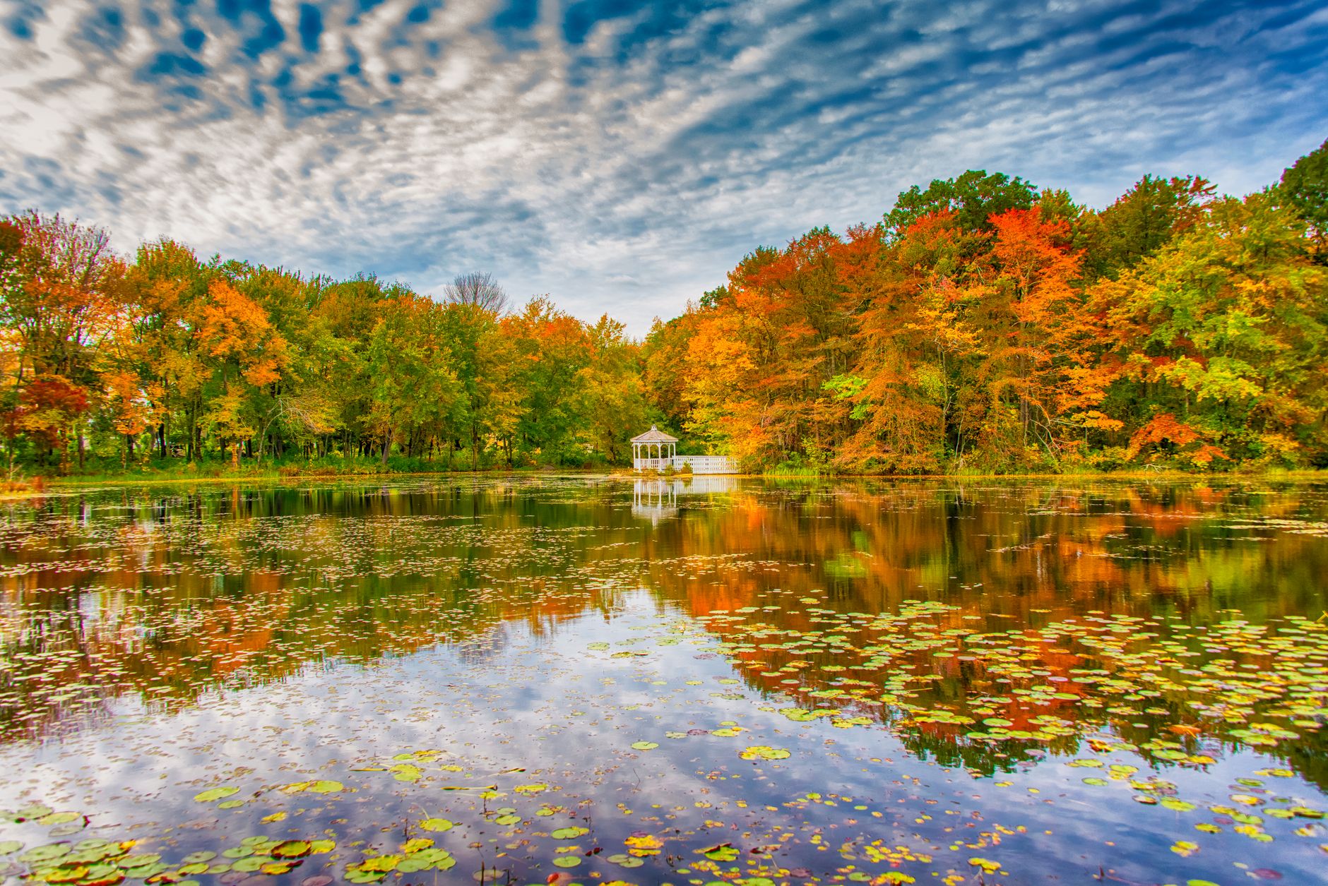 pond in autumn surrounded by colorful trees reflecting in the calm waters