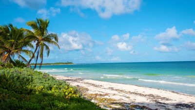 photo of beach under blue sky