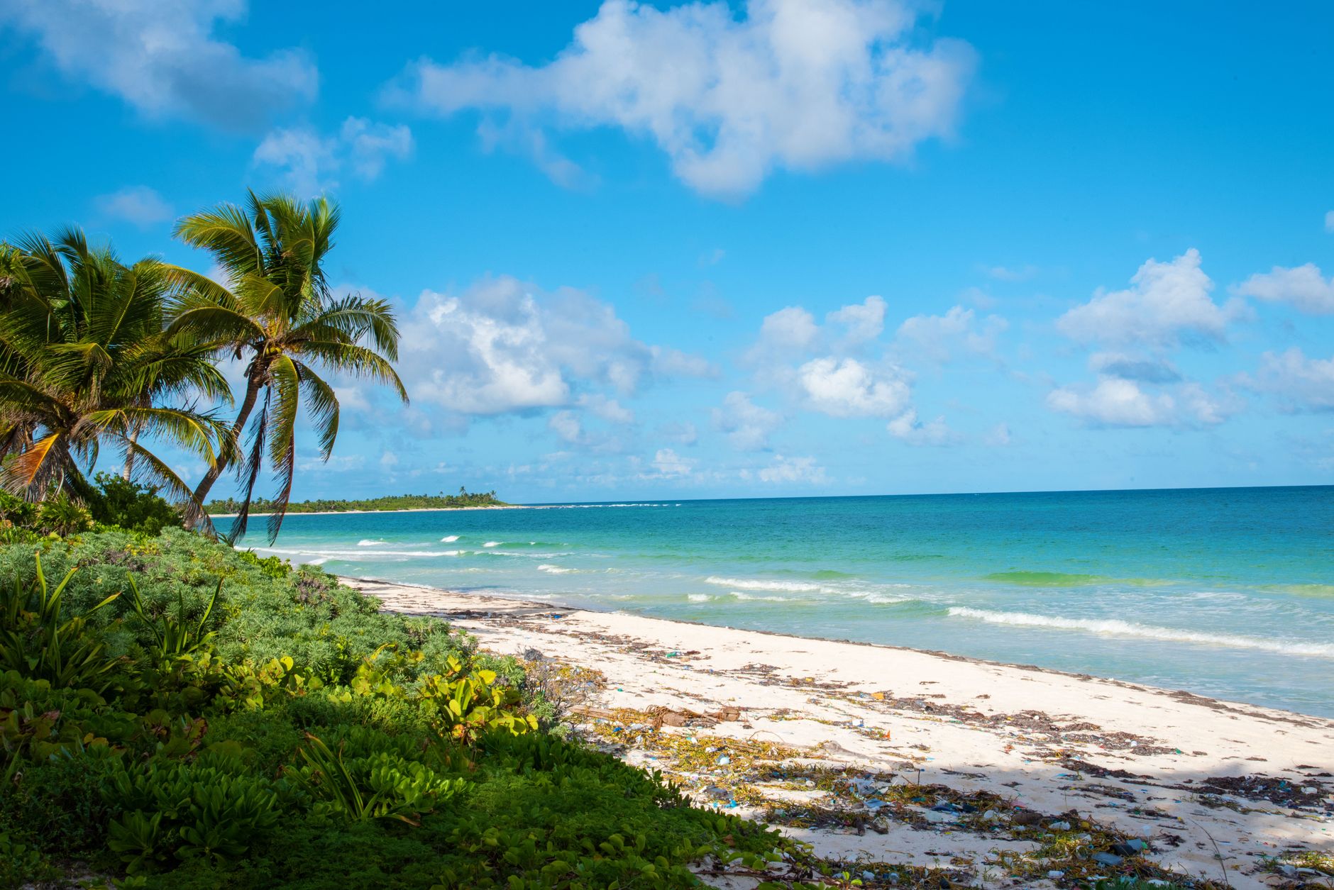 photo of beach under blue sky
