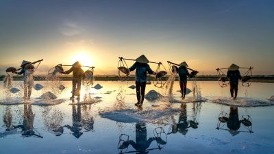 people working in a salt field at hon khoi vietnam