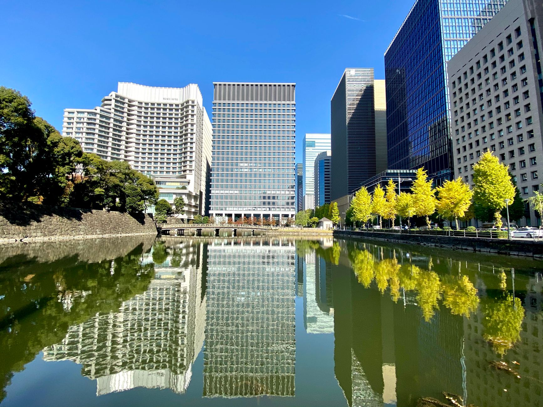 pond in city
