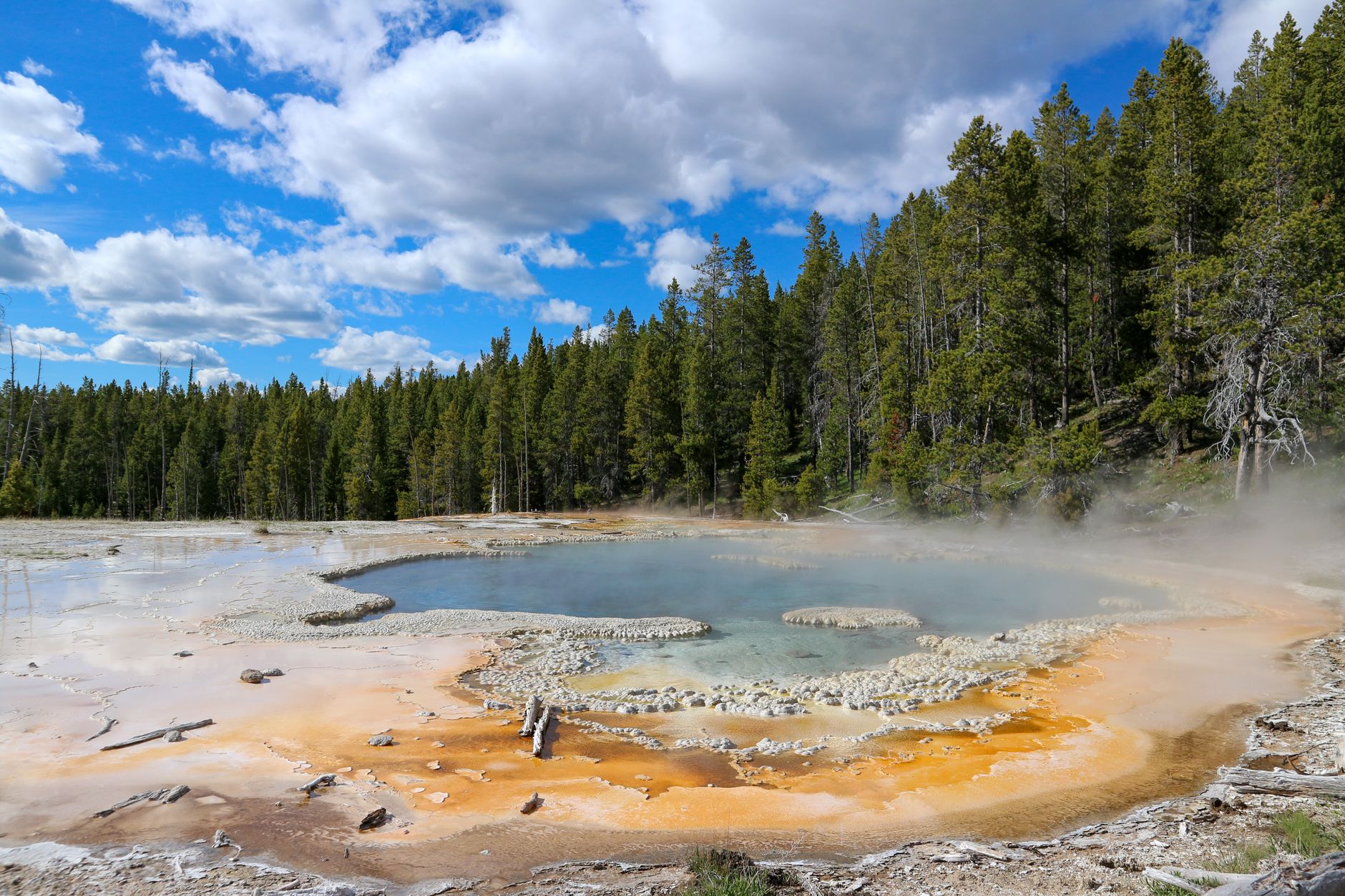 the yellowstone national park under blue sky with white clouds