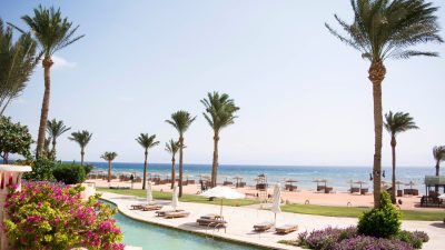 green palm trees near swimming pool