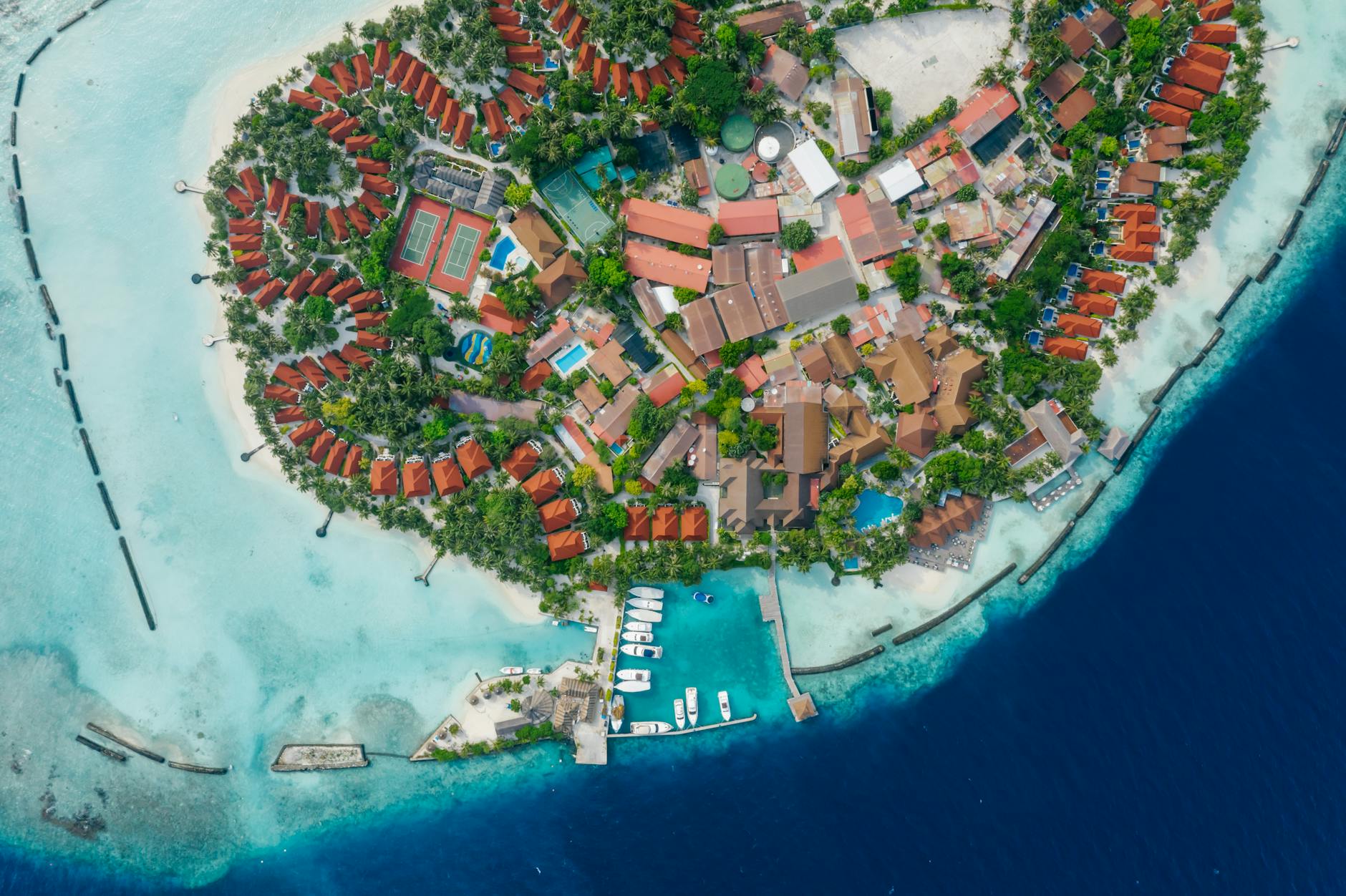 aerial shot of an island