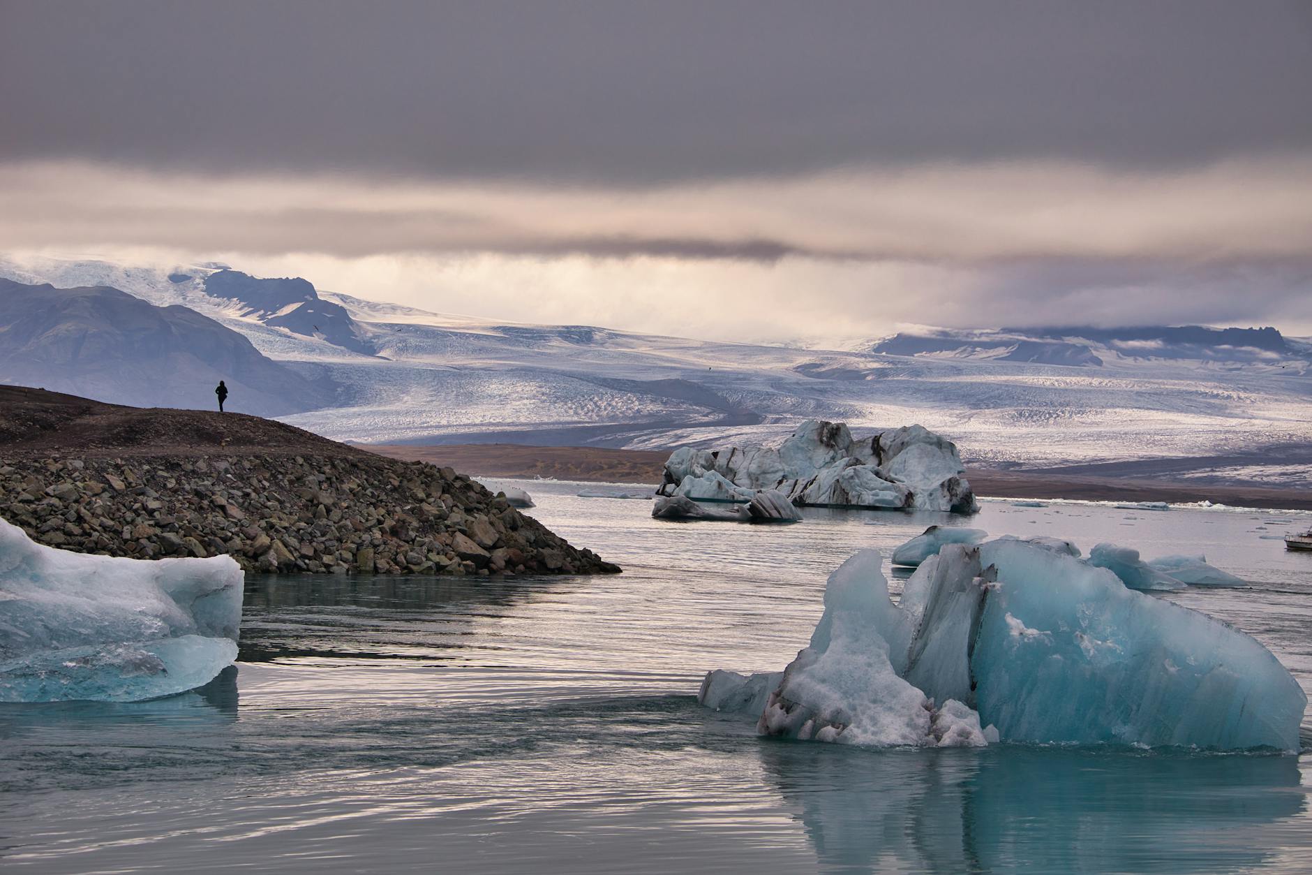 icebergs on body of water