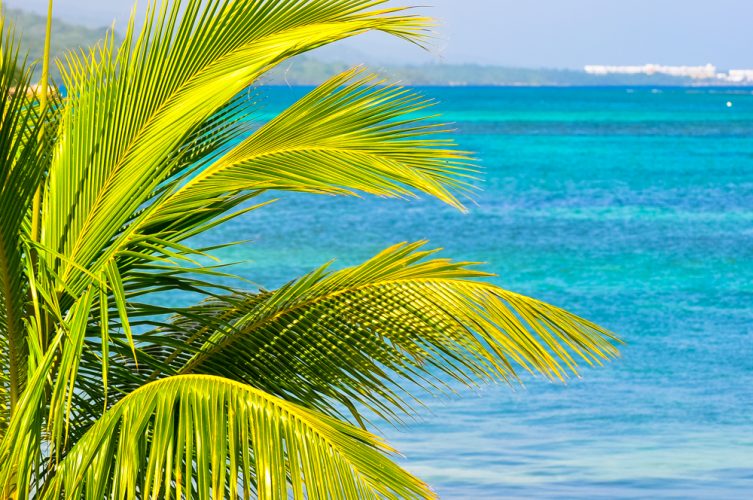 Coming Up Viking West Indies Explorer, Epic Invasion Chris Cruises