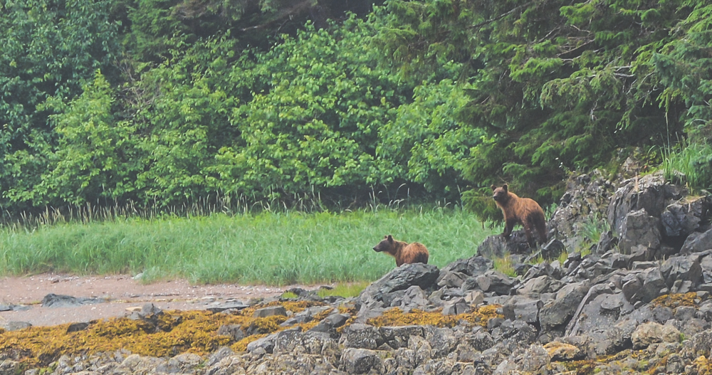 Alaska cruise