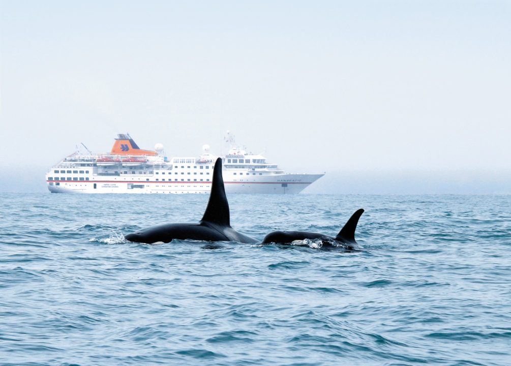 Luxury Expedition Cruises